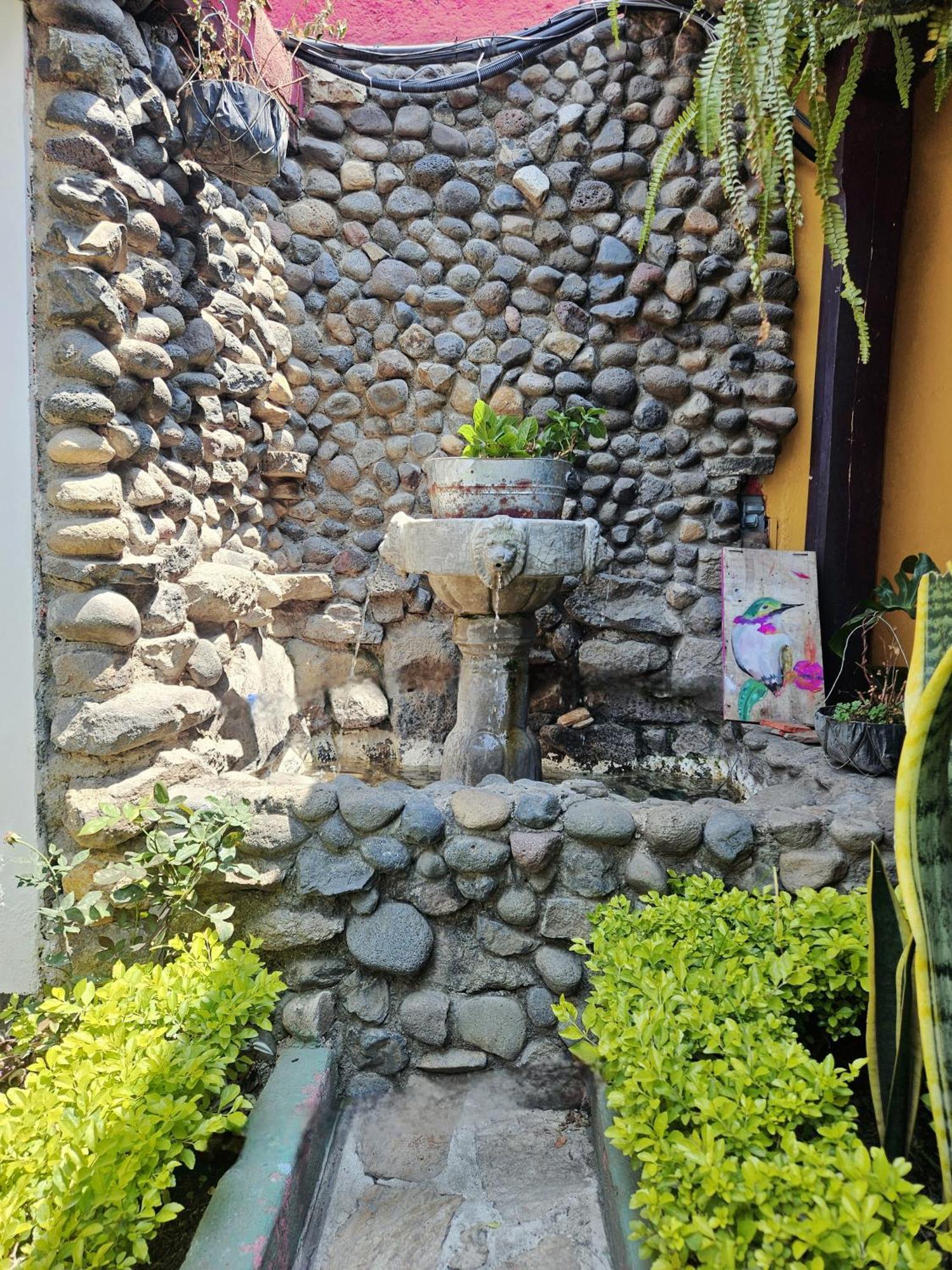 Casa Nikte Hotel Antigua ภายนอก รูปภาพ